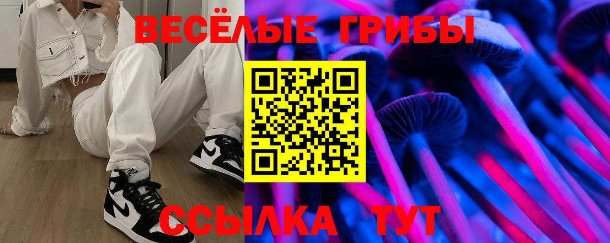 Псилоцибиновые грибы Psilocybine cubensis Елец